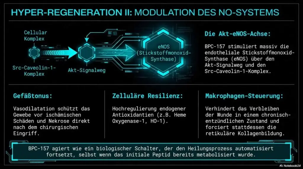 Biohaker Heilung Bpc 157 Piercing 5
